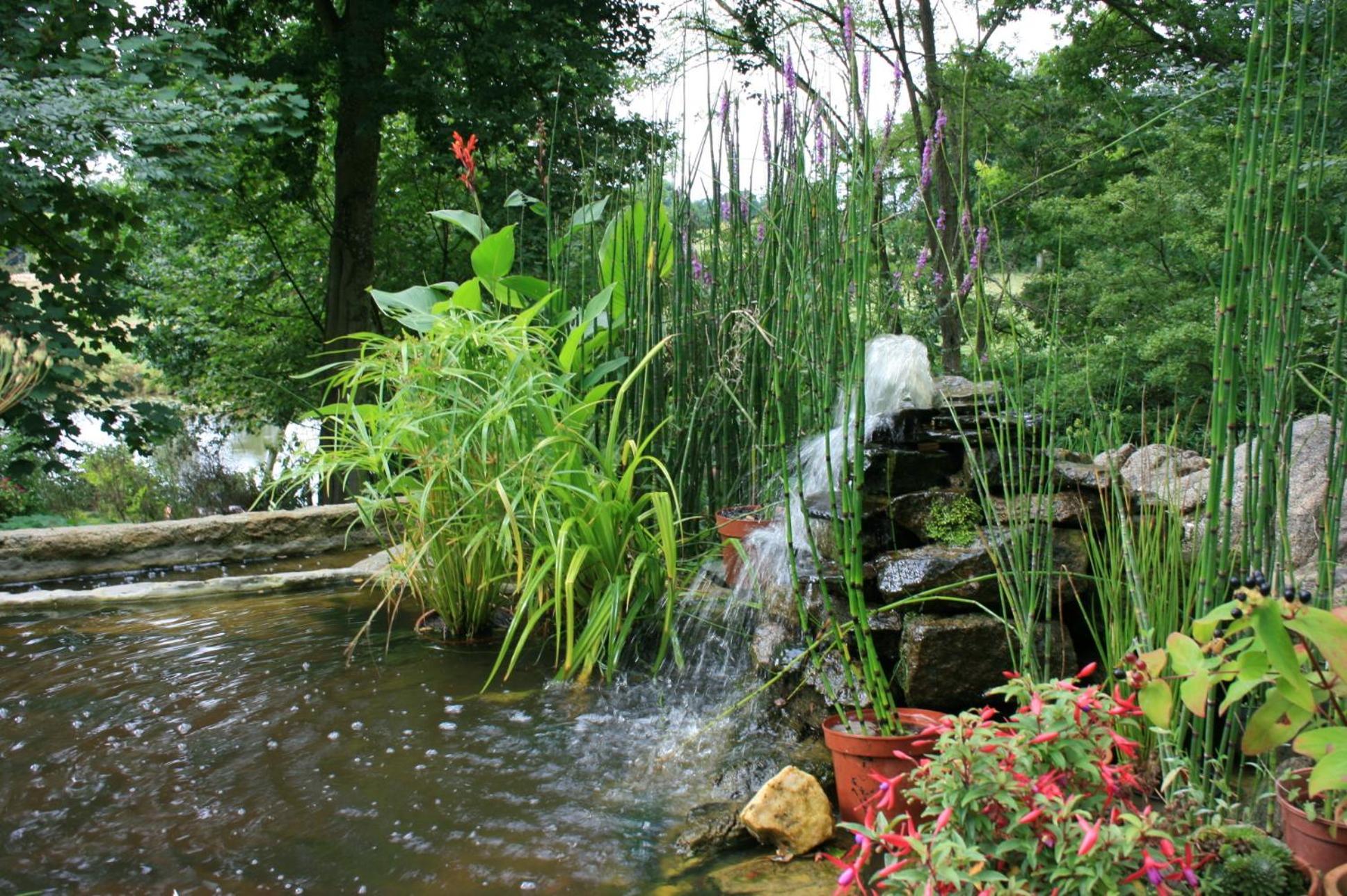 Saint-Pierre-de-Plesguen Au Pont Ricoul B&B 외부 사진